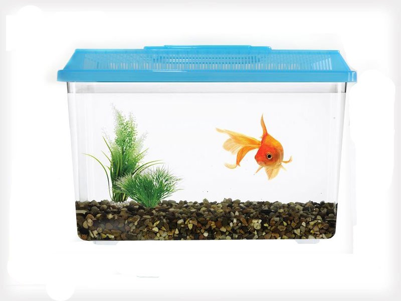Plastic Fish Aquarium / Pet Tank Crazy Sales We have the best daily