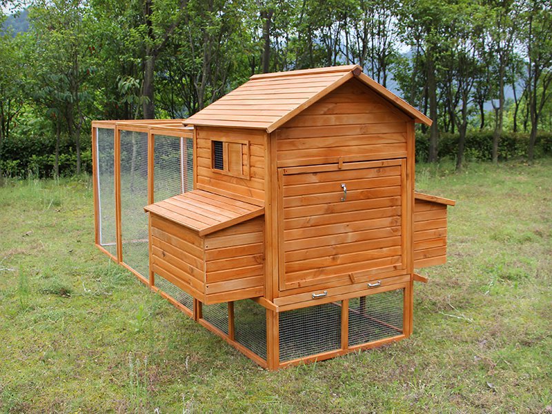 12FT Chicken Coop/House with Nesting Box XXL Crazy Sales We have