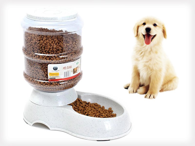 11L Automatic Pet Food Dispenser Crazy Sales We have the best daily