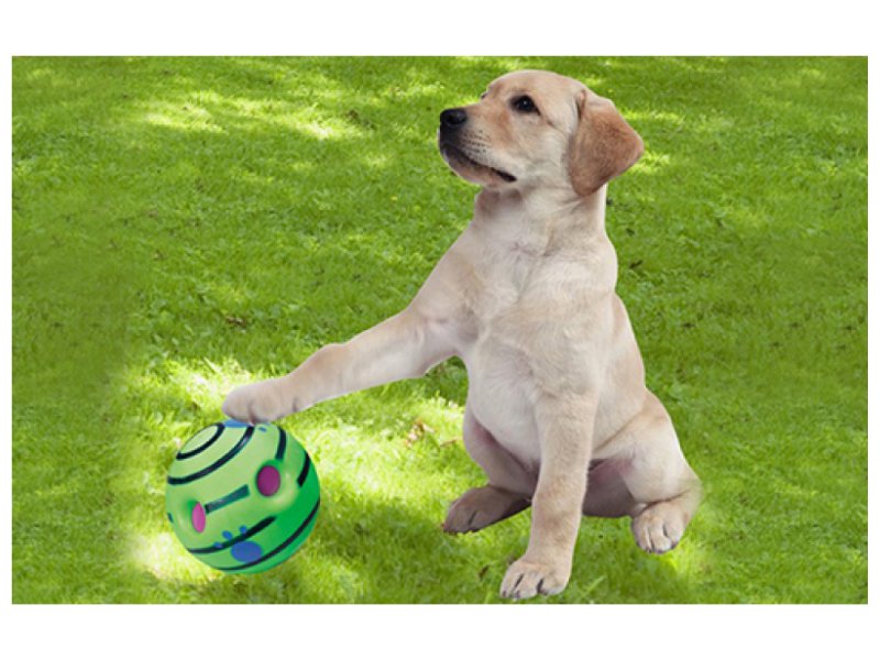 wiggle giggle dog toy