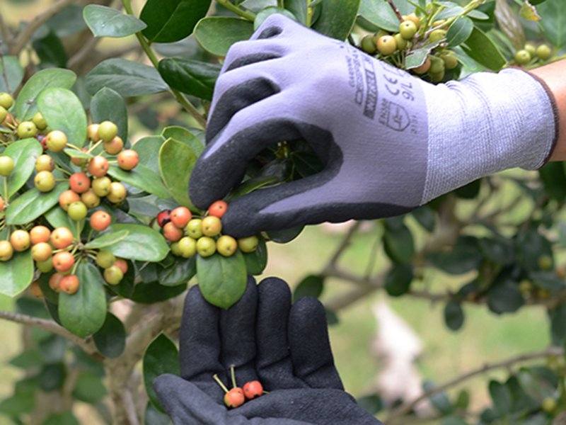 Latex General Purpose Gloves - 5pk