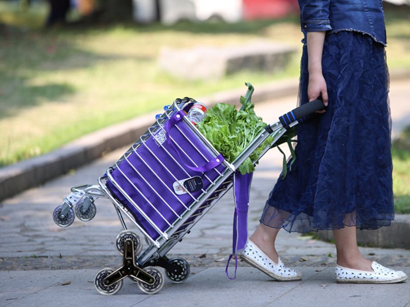 Stair Climb Collapsible Shopping Trolley Cart