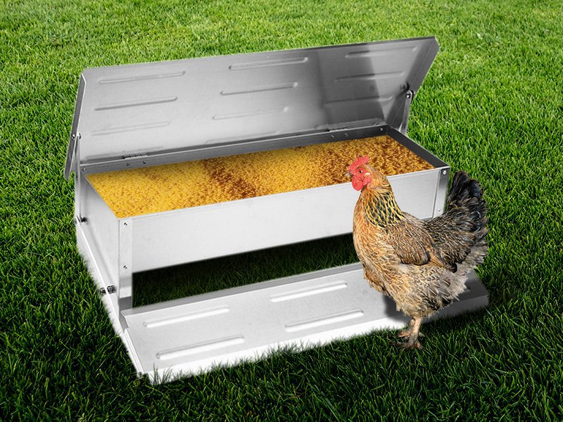 20 6l Giant Aluminium Chicken Feeder Crazy Sales We Have The