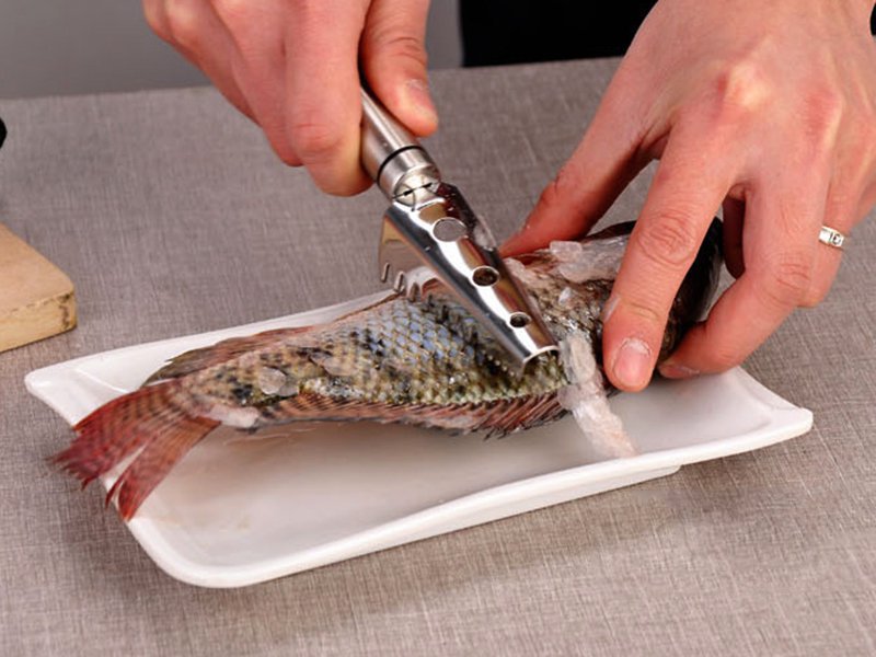 Stainless Steel Fish Scales Remover
