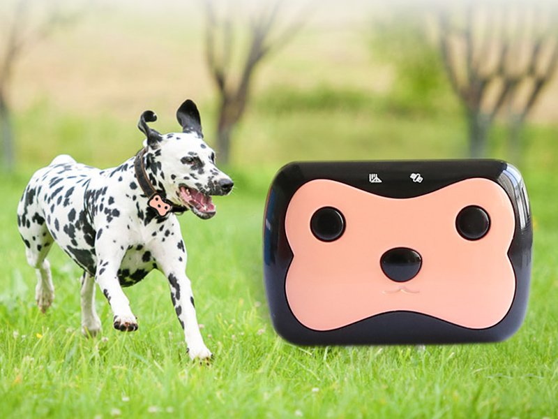 GPS Pet Tracker