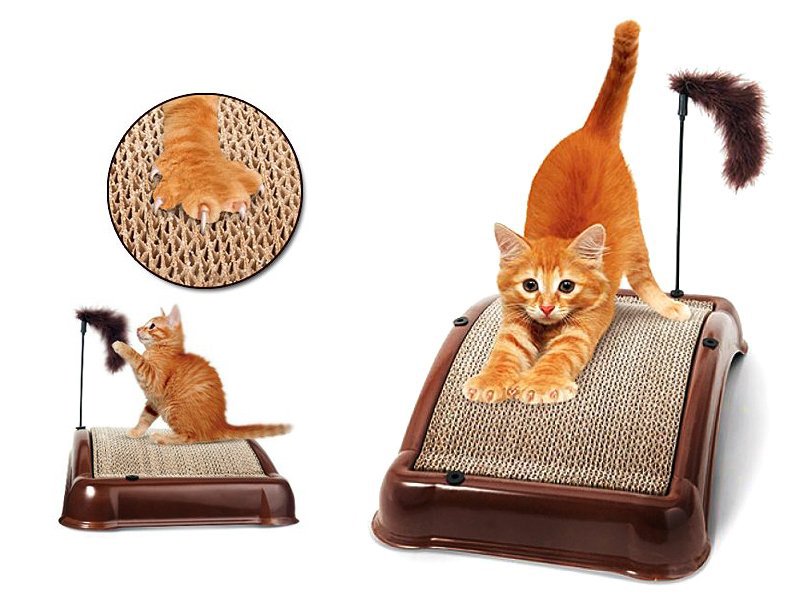 Cat Scratcher Board Crazy Sales We have the best daily deals online!