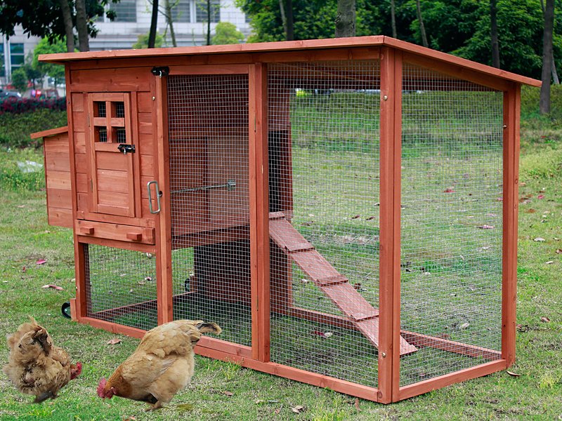 New Plan: Building chicken coops nz