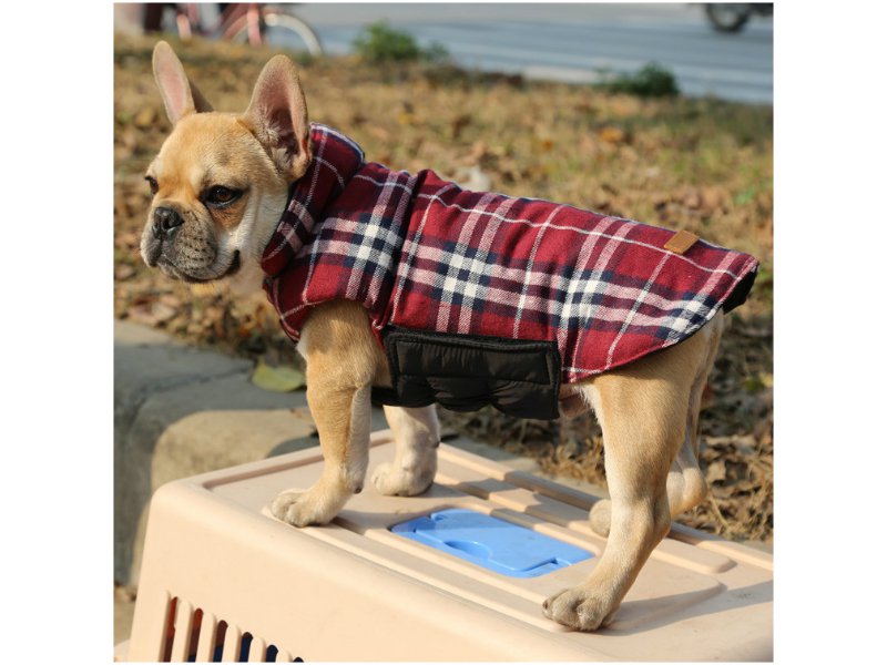 Reversible Dog Jacket XXL Crazy Sales We have the best daily