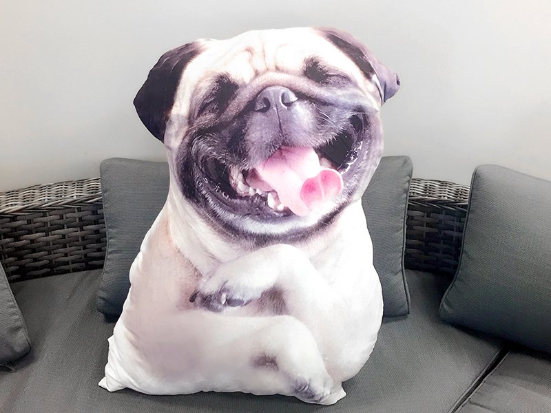 Dog Plush Cushion