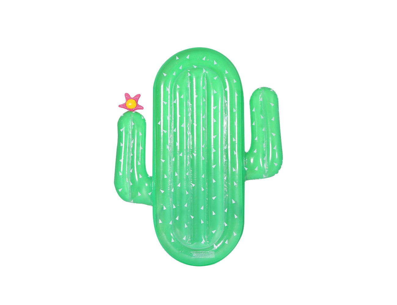 Inflatable Cactus Float