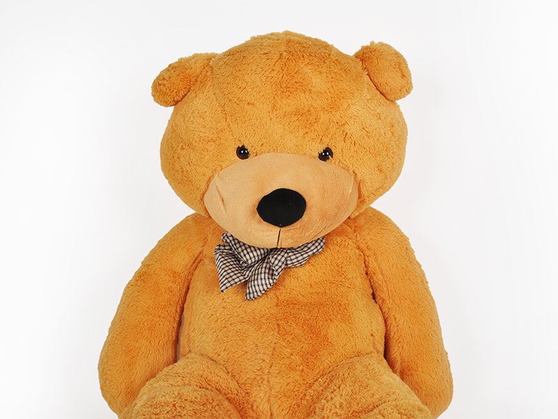 teddy brown teddy brown