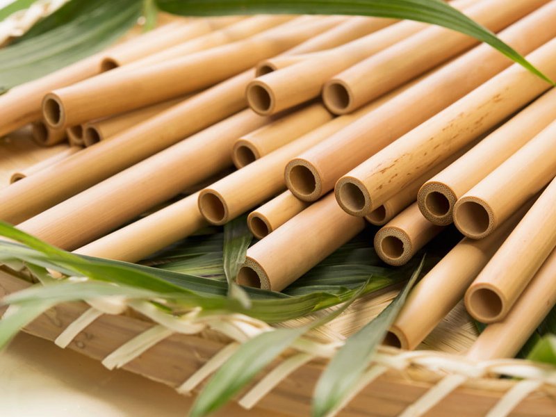 Bamboo Straw ECO Pack 12PC Crazy Sales We have the best daily