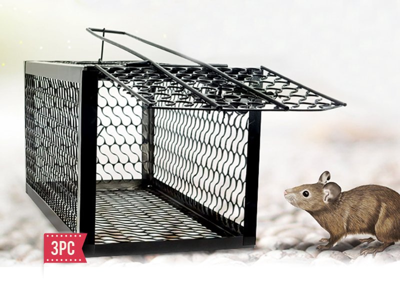 3pc Mouse Trap Cage