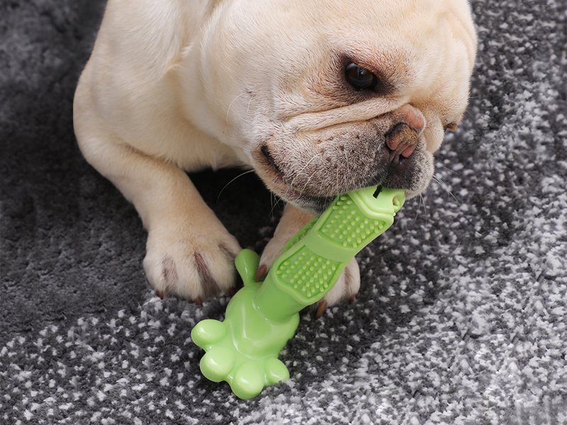 Dog Toothbrush Chew Toy Green Crazy Sales We have the best daily
