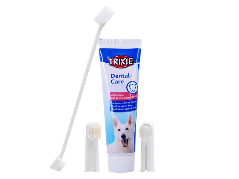 Pet Dental Oral Care Kit