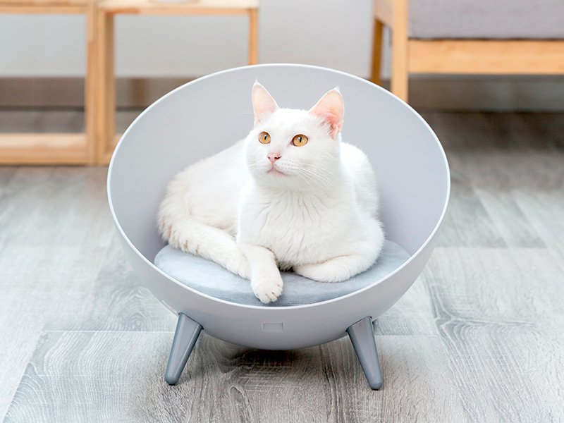 Modern Round Cat Chair/Bed Crazy Sales We have the best daily deals