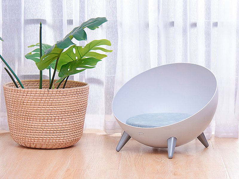 Cat Chair Bed Photos All