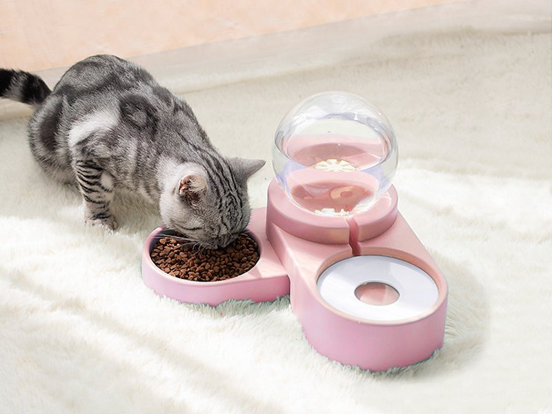 2 in 1 Pet Auto Water Feeder With Food Bowl Pink