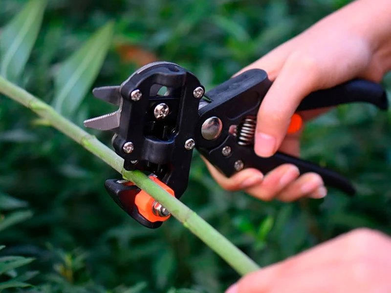 3 in 1 Plant Pruning Grafting Shears Kit Crazy Sales We have the
