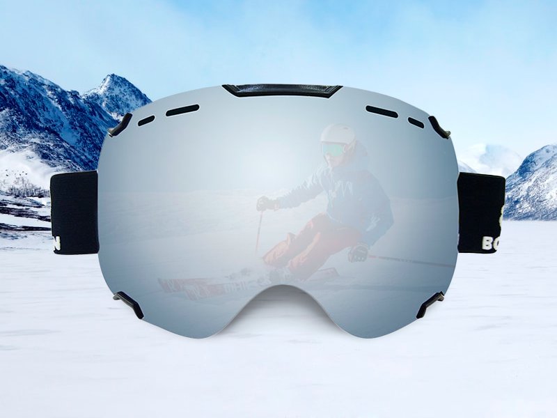 Ski Goggles Dual Lens Snowboard Gear - Silver