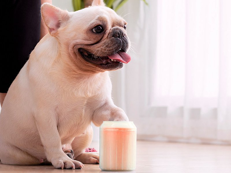 Dog Feet Cleaner Paw Cup  - Orange