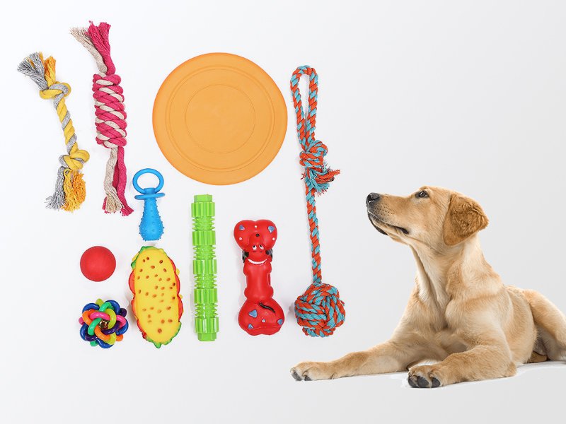 10 Pieces Dog Puppy Pet Chewing Rope Toys Crazy Sales We have the