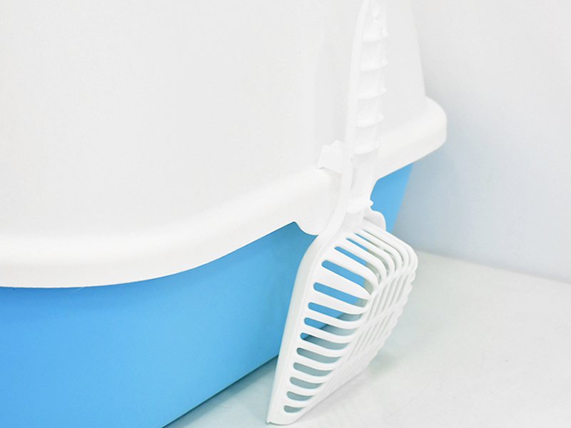 kitty litter box