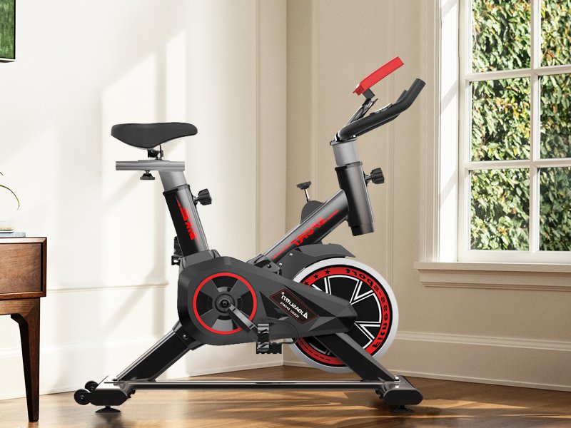 best gym bikes for home