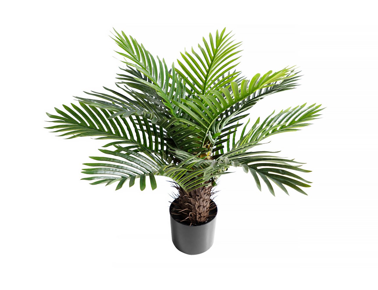 Artificial Palm Plant Small Crazy Sales We have the best daily