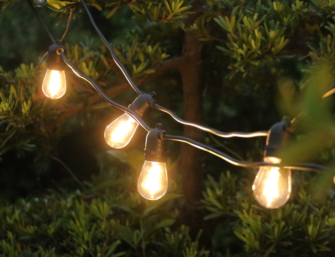 10m Warm White Festoon Lights - S14 LED Bulbs